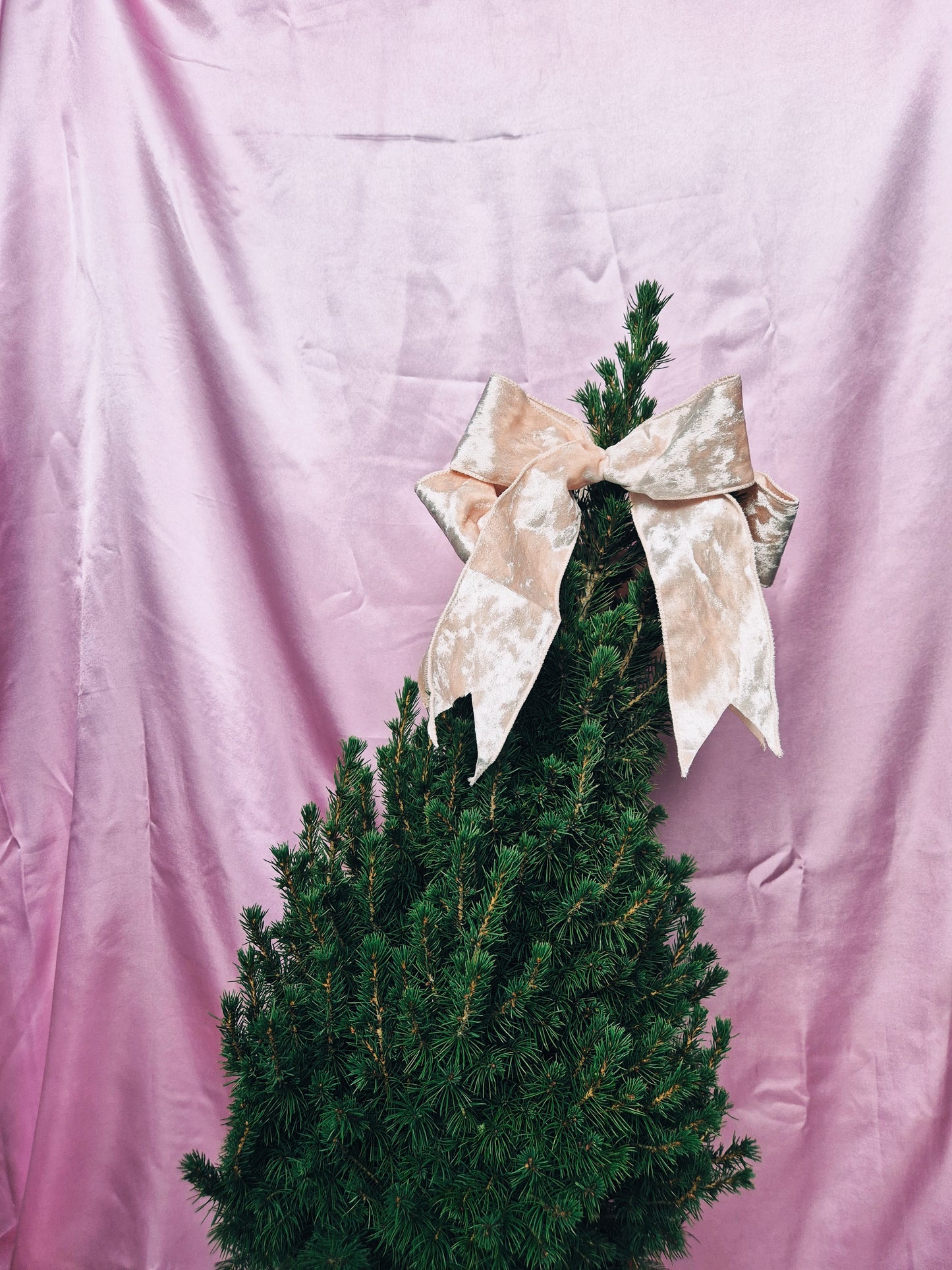 Bow tree topper