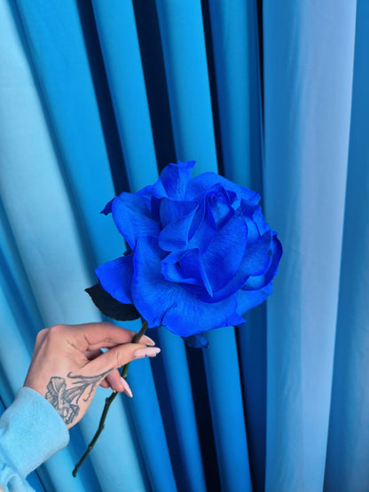 One rose at a time - Reflexing workshop